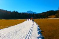 W Europie zimy wciąż nie ma, a w Seefeld można biegać... na nartach