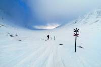 Laponia 2021. Relacja z wyprawy na północ Szwecji na biegówkach i nartach backcountry