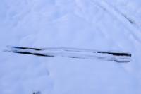 Śnieg na Polanie Jakuszyckiej