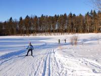 Biegówki na nizinach: Cartusia SkiArena Nordic na Kaszubach