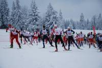 Słaba zima w Górach Bystrzyckich. Odwołują biegi na przełomie stycznia i lutego
