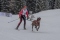 Brąz dla Polki na Mistrzostwach Europy w bieganiu na nartach... z psem