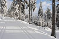 W Górach Bialskich i Masywie Śnieżnika wciąż bardzo dobre warunki do biegania