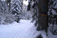 Trasy narciarskie na urokliwym Podlasiu - Uroczysko Glinki w Supraślu