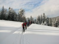 Zastosowanie smarów odbiciowych w narciarstwie przełajowym (backcountry)