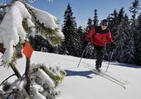 Biegaj na nartach - będziesz żyć dłużej