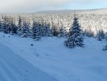 Widok na Wysoką Kopę