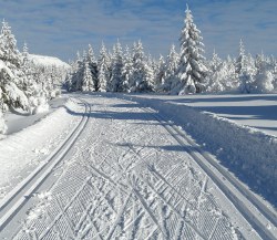 Dobrze przygotowana trasa ma wyciśnięte dwa tory do stylu klasycznego.