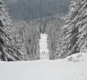 Jakuszyce – do schroniska Orle przez Samolot (4km)