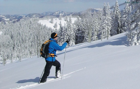 Poza nielicznymi wyjątkami narty back country wyposażone są w łuskę.