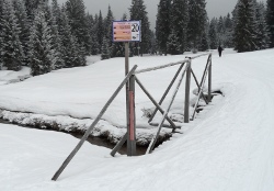 Mostek na Kamiennej przy Polanie Maliszewskiegow