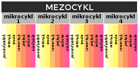 Cztery siedmiodniowe mikrocykle w jednym mezocyklu