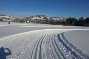 Gąsienica Sport