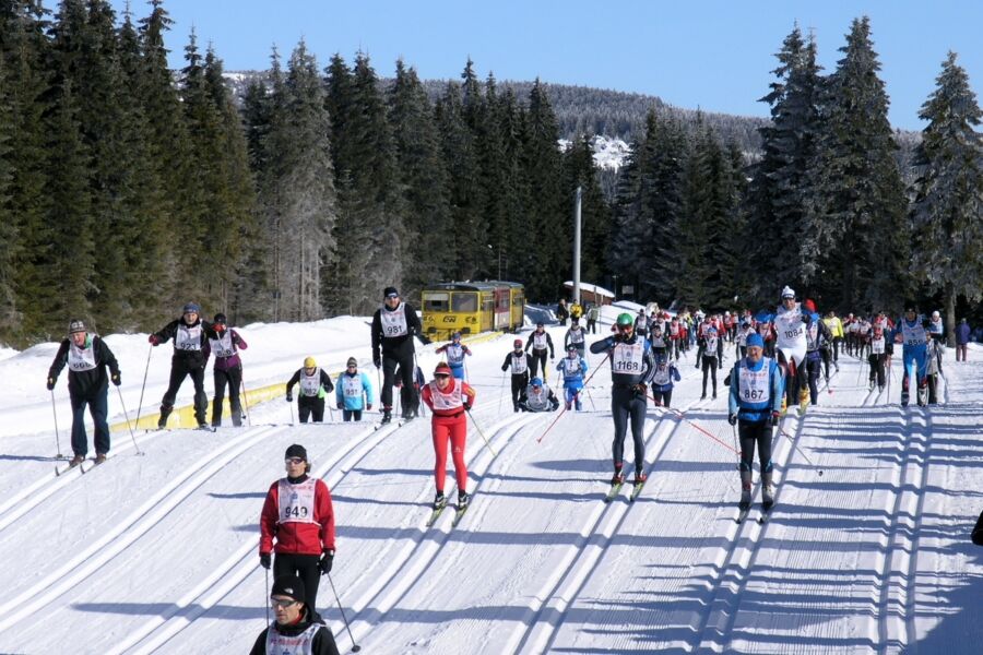 38. Bieg Piastów: wszystkie biegi na 10 km