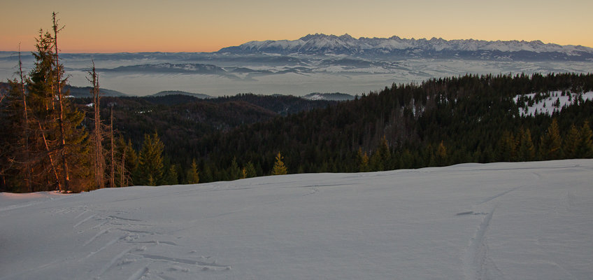 Turbacz na nartach backcountry przez Dolinę Lepietnicy