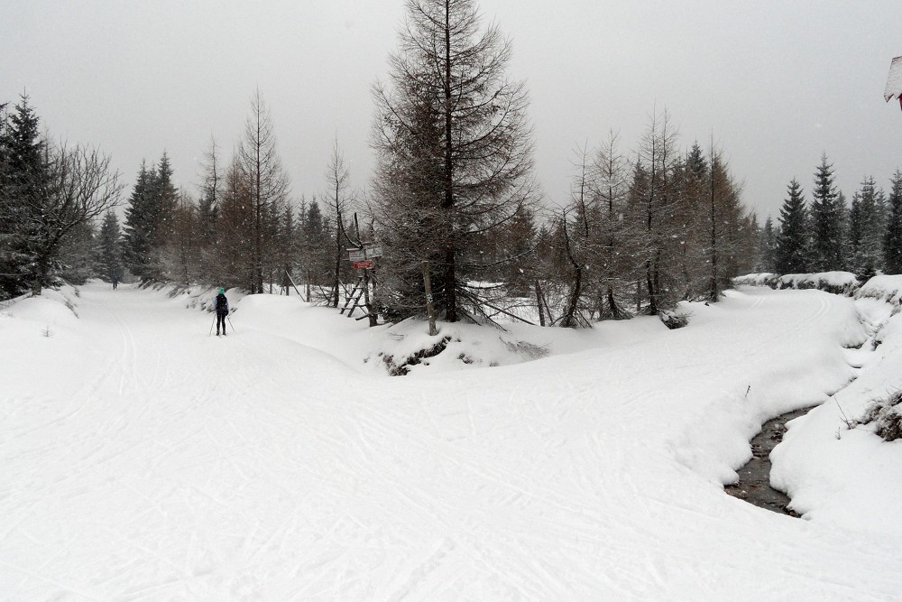 Rozdroże pod Cichą Równią