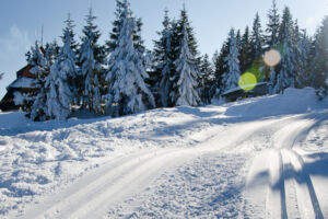 Turbacz – trasa na narty biegowe z Obidowej