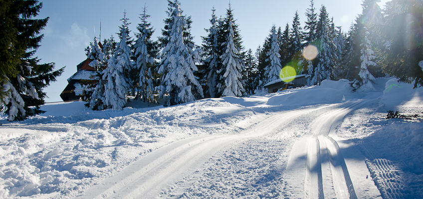 Turbacz – trasa na narty biegowe z Obidowej