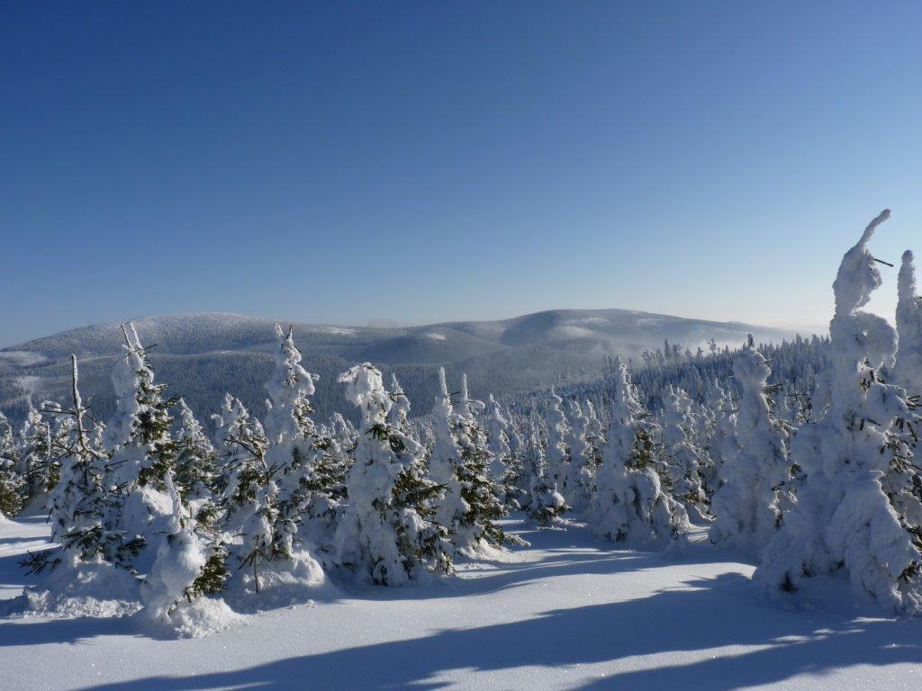 Widok na Śnieżnik