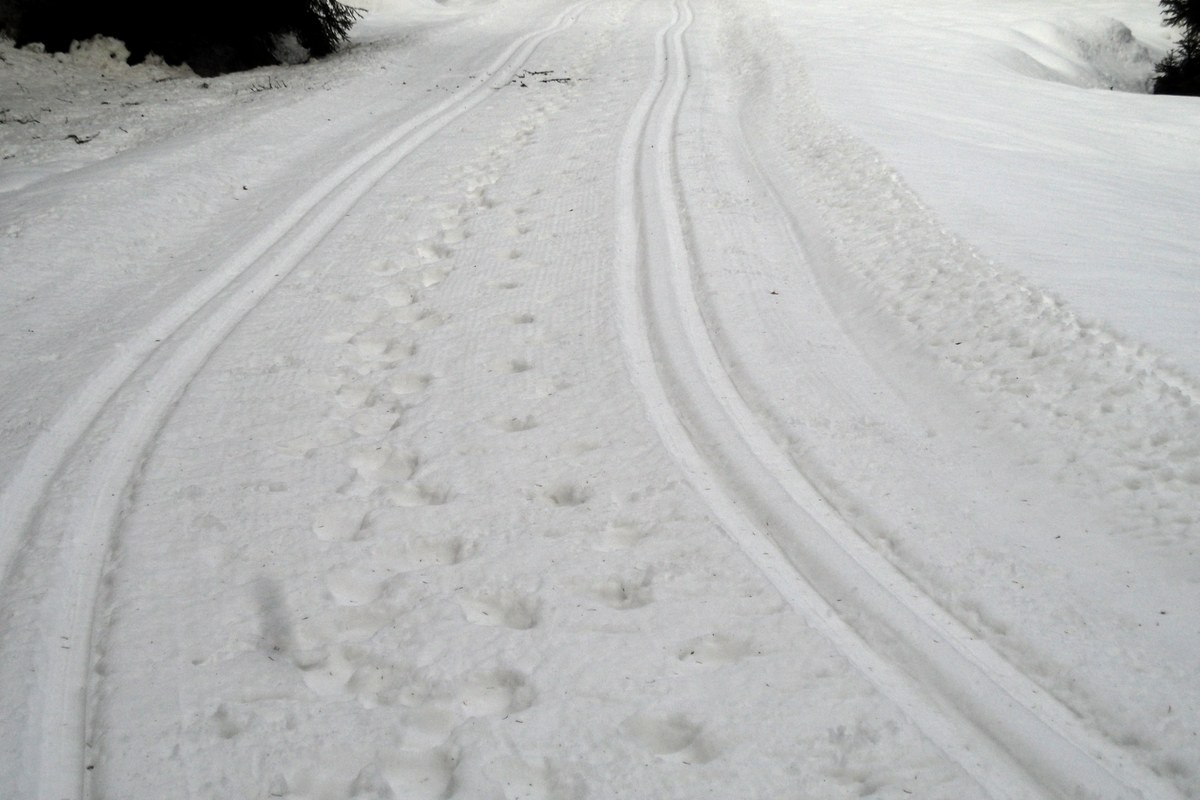 Na trasie w Górach Bialskich (27.01.2016)