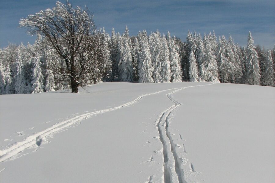 Z dala od trasy – małe kompendium wiedzy o sprzęcie backcountry