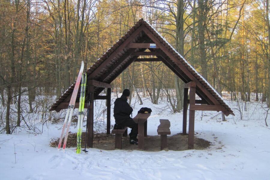 Kampinos na ferie – trasa z Nowin