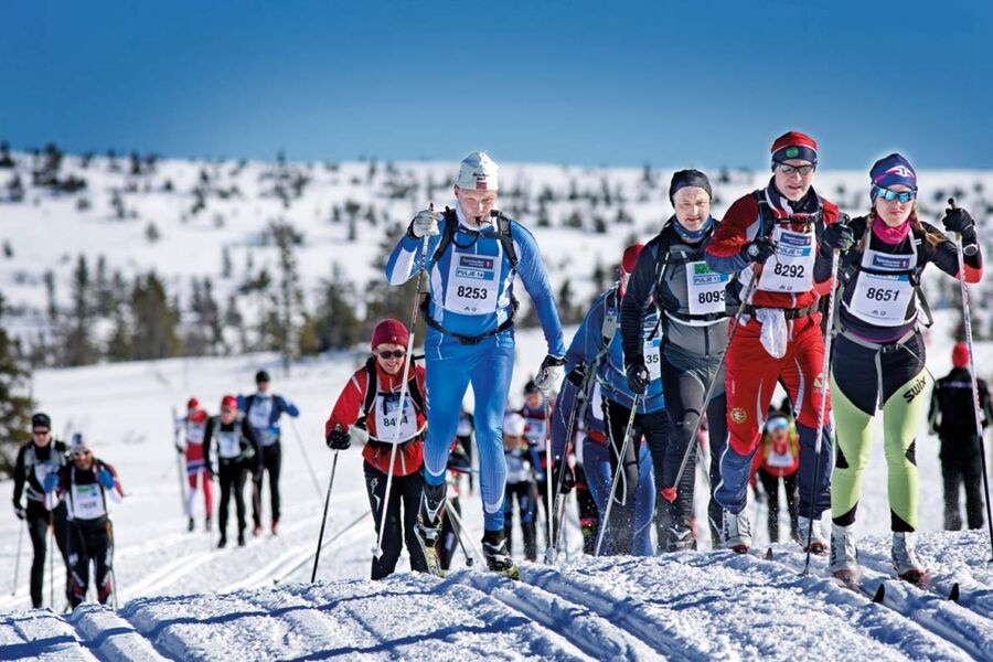 Zawodnicy teamu nabiegowkach.pl w czołówce Polaków w najtrudniejszym maratonie Worldloppet