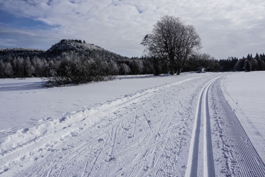 VI Bieg Pabla odbędzie się według planu 28.01.2018