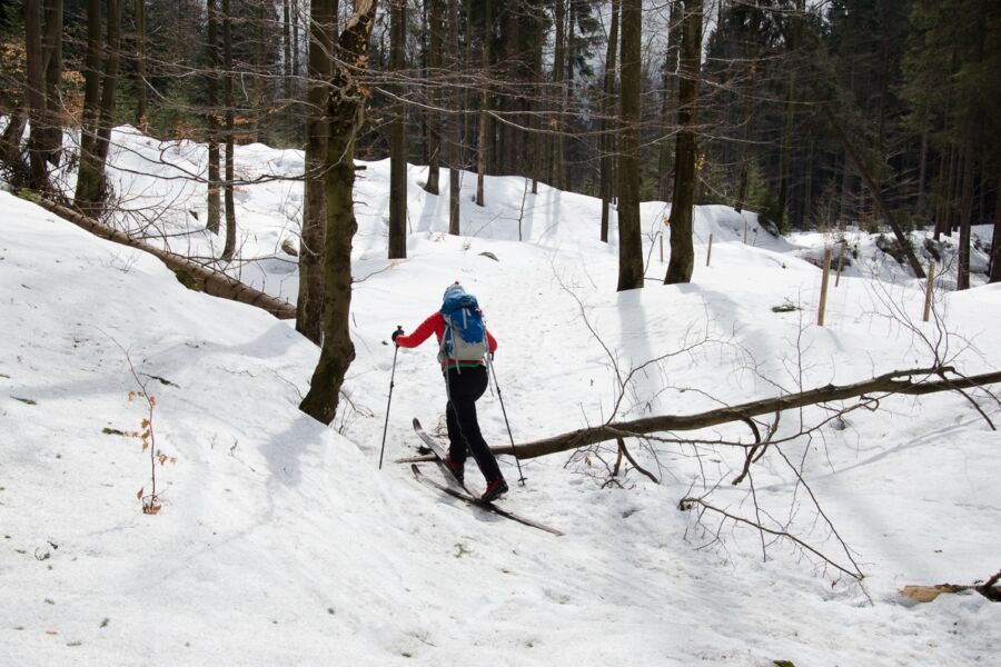 Backcountry – kto pokocha narciarstwo przełajowe?