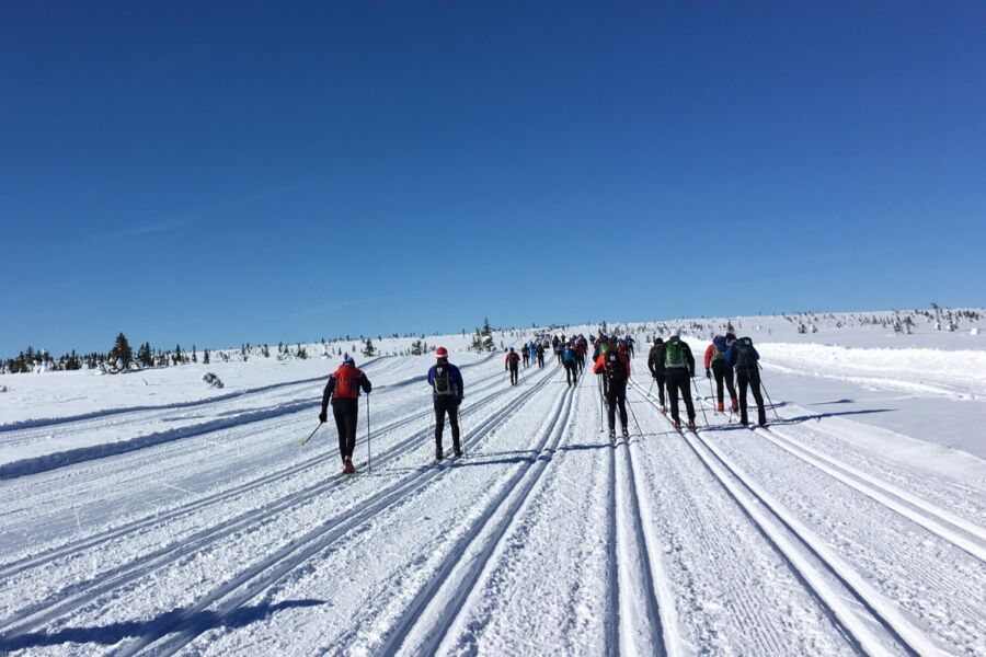 Worldloppet kobiecym okiem, czyli nie tylko o ściganiu na nartach