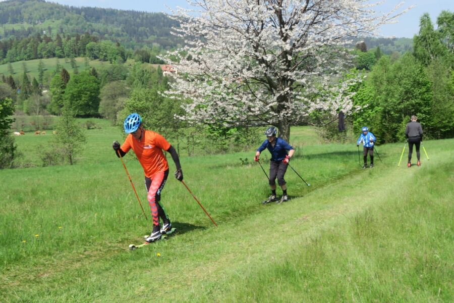 Team nabiegowkach.pl – rozluźnione obostrzenia umożliwiły w końcu wspólne treningi