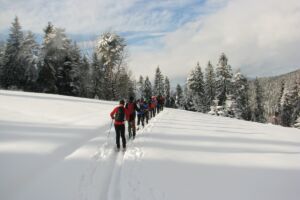 Zastosowanie smarów odbiciowych w narciarstwie przełajowym (backcountry)