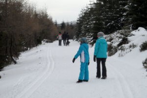Czechy chronią trasy narciarskie prawem. Od 2026 mandaty za niszczenie tras biegowych w lasach